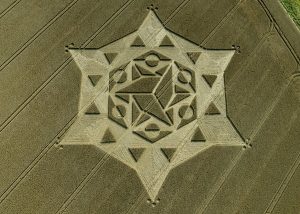 2008_08_16_olivers-castle-wiltshire-wheat-oh